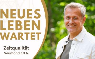 Video zur Zeitqualität