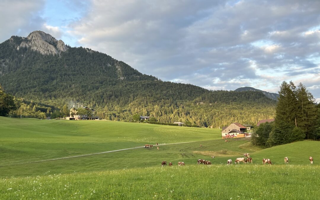 Impulse und Begleitung für den Monat August 2023
