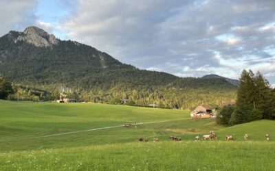 Impulse und Begleitung für den Monat August 2023
