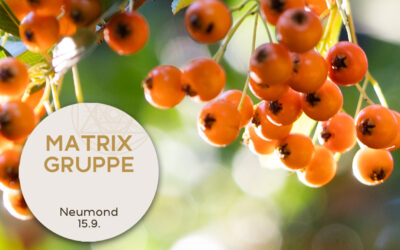 Impulse und Begleitung zum Neumond am 15.9.2023