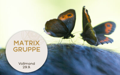 Impulse und Begleitung zum Vollmond am 29.09.2023