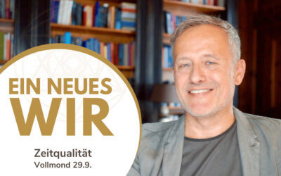 Wo sind deine Gefährten?