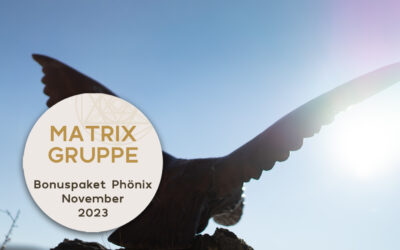 Bonuspaket PHÖNIX November 2023