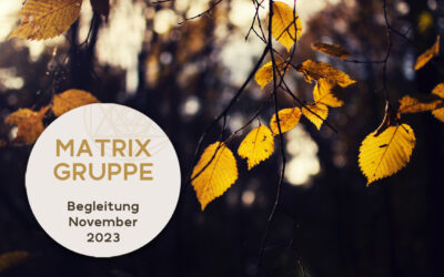 Impulse und Begleitung für den Monat November 2023
