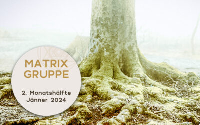 Impulse und Begleitung 2. Monatshälfte Januar 2024