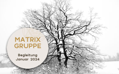 Impulse und Begleitung für den Monat Januar 2024
