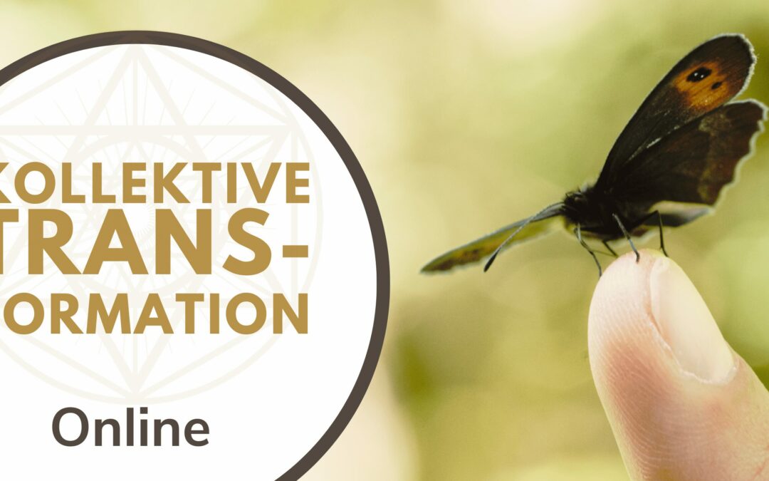 Kollektive Transformation