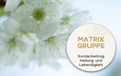 Sonderbeitrag 15.4. – Heilung und Lebendigkeit