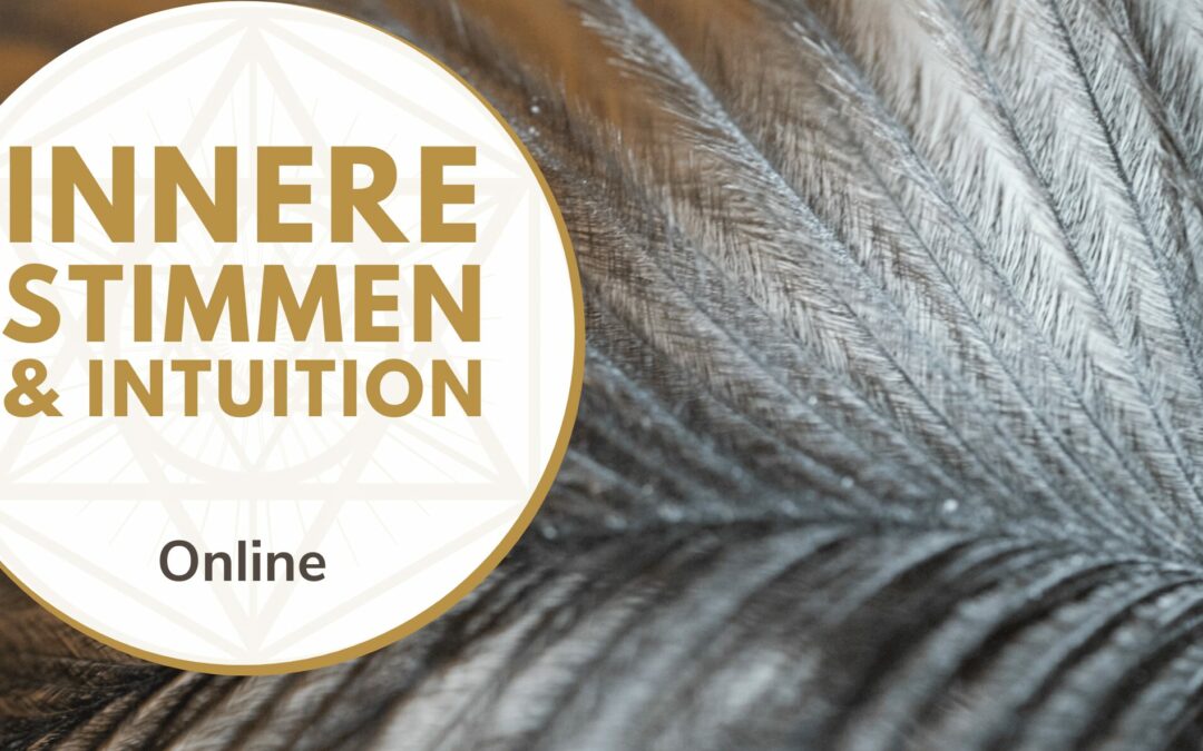 Innere Stimmen und Intuition