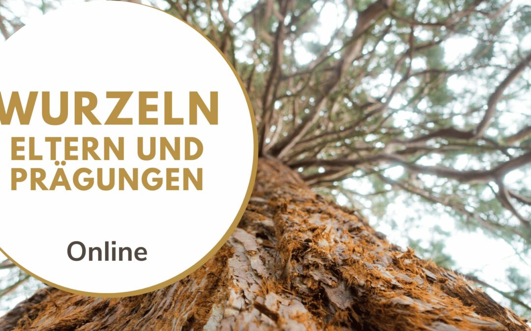 Wurzeln – Eltern und Prägungen