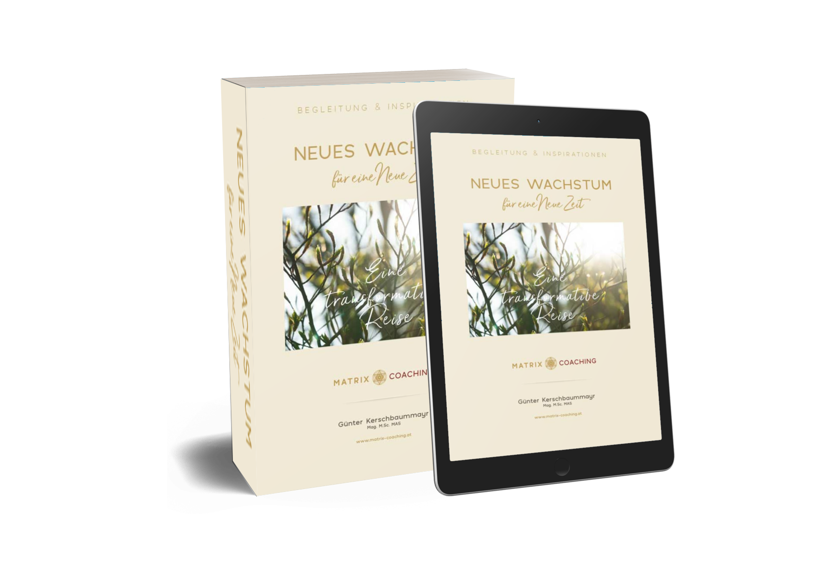 Matrix Coaching Module 1715587888 | Matrix-Coaching