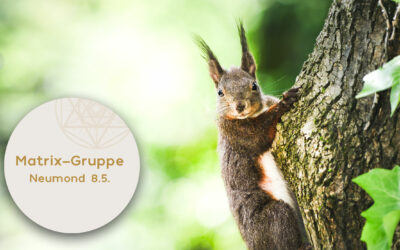 Impulse und Begleitung zum Neumond am 8.5.2024