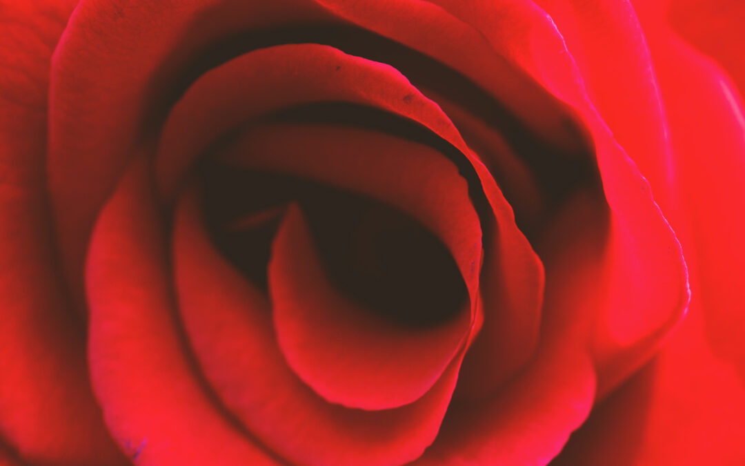 Liebe leben – gelebte Liebe