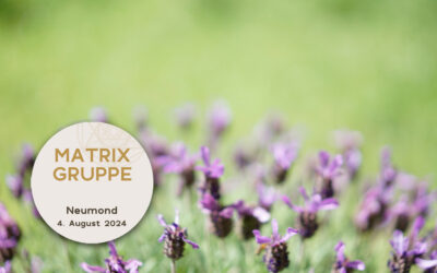 Impulse und Begleitung zum Neumond am 4.8.2024