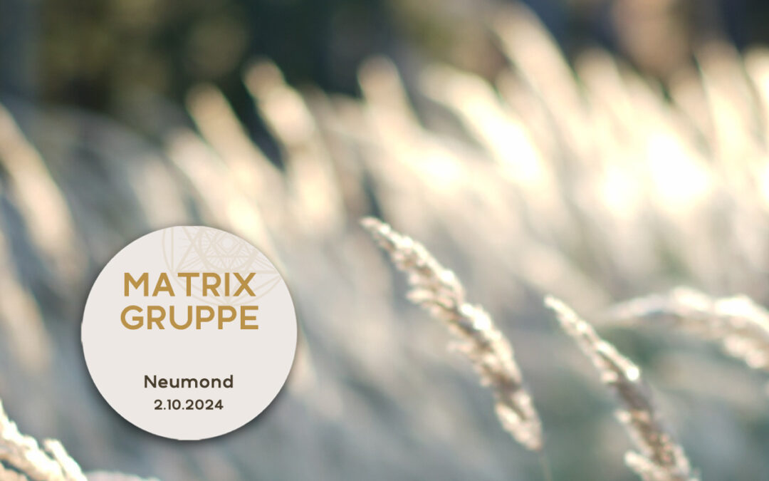 Impulse und Begleitung zum Neumond am 2.10.2024