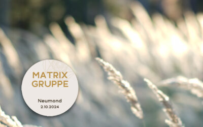 Impulse und Begleitung zum Neumond am 2.10.2024