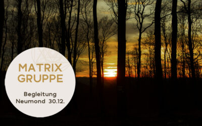 Impulse und Begleitung zum Neumond am 30.12.2024 +  2 GESCHENKE!