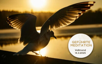Geführte Meditation zum Vollmond