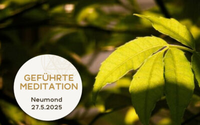 Licht und Schatten
