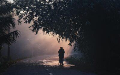 Schatten oder Fremdenergien